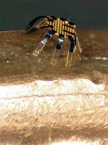 全球最小的遙控行走機(jī)器人誕生，用激光實(shí)現(xiàn)精準(zhǔn)運(yùn)動(dòng)控制